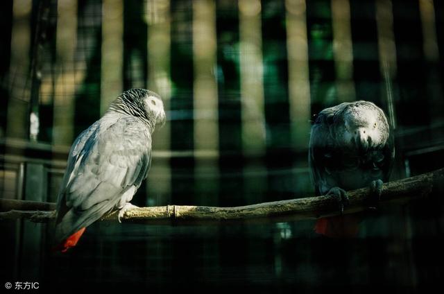 颠沛流离是什么意思，颠沛流离什么意思（经典语录：究竟什么样的终点）