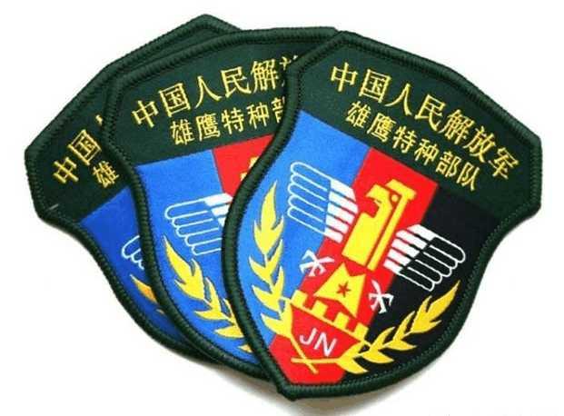 成都军区特种部队，中国成都军区特种部队（中国五大特种部队及其专属臂章）
