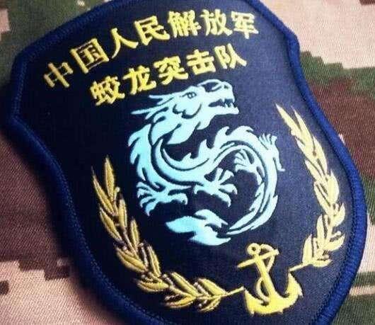 成都军区特种部队，中国成都军区特种部队（中国五大特种部队及其专属臂章）