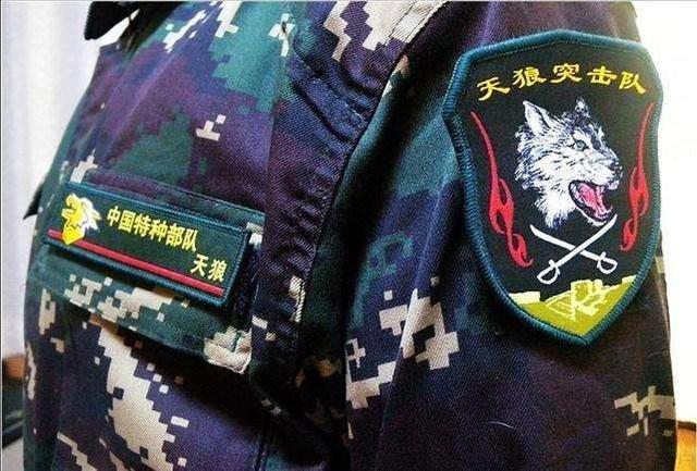 成都军区特种部队，中国成都军区特种部队（中国五大特种部队及其专属臂章）
