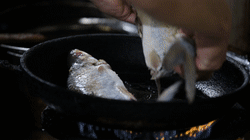 煎炸鲮鱼的做法，炸鳊鱼的做法大全（这个顺德厨师宁愿不做也不换别的食材）