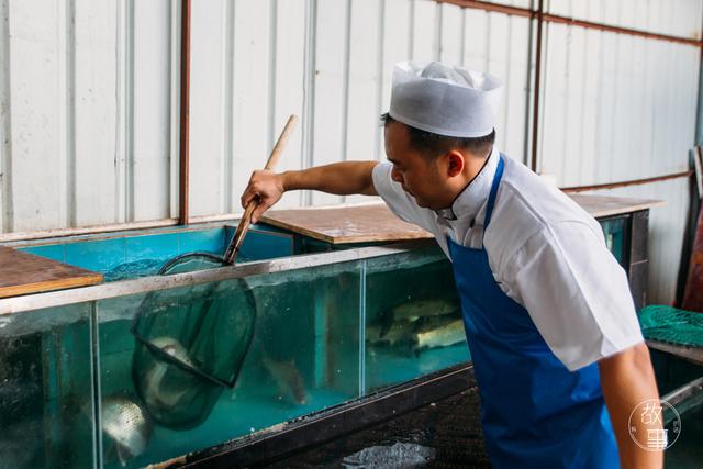 煎炸鲮鱼的做法，炸鳊鱼的做法大全（这个顺德厨师宁愿不做也不换别的食材）