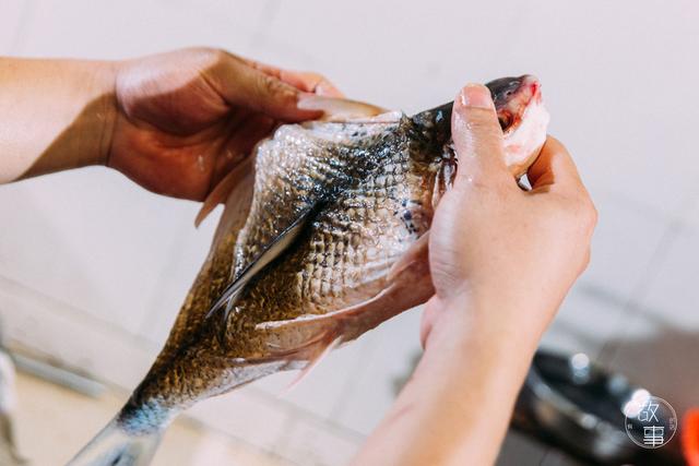 煎炸鲮鱼的做法，炸鳊鱼的做法大全（这个顺德厨师宁愿不做也不换别的食材）
