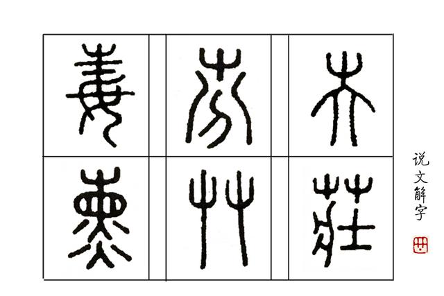 屮艸芔茻是什么意思，屮艸芔茻是什么意思这名字好听吗（学汉字：你知道了“又双叒叕”）