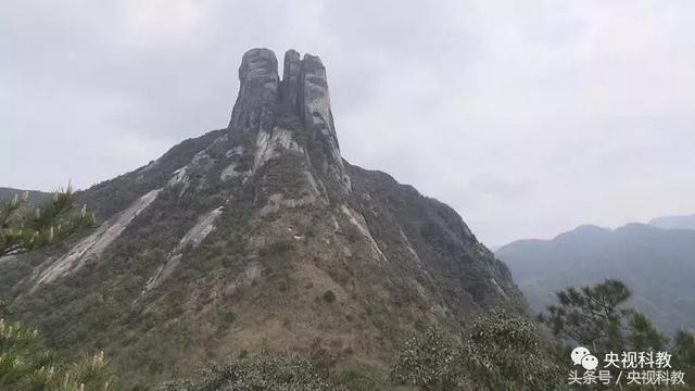 湘妃竹的传说，湘妃竹的传说体现了人民怎样的理想和追求（地理中国丨九嶷孤峰为何会向三分石“朝拜”）