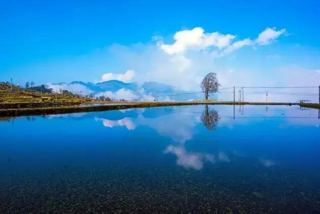 云水谣古镇在哪里，云水谣在哪里（客家人神一般的建筑与诗意浪漫）