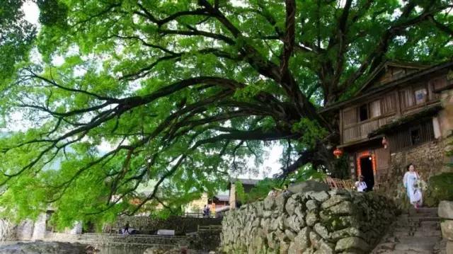 云水谣古镇在哪里，云水谣在哪里（客家人神一般的建筑与诗意浪漫）