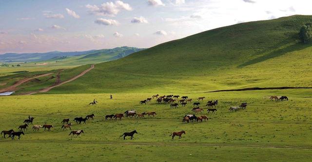 屮艸芔茻是什么意思，屮艸芔茻是什么意思这名字好听吗（学汉字：你知道了“又双叒叕”）