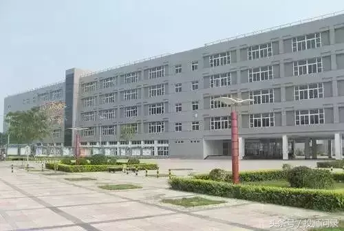 山东大学威海分校毕业证（985）