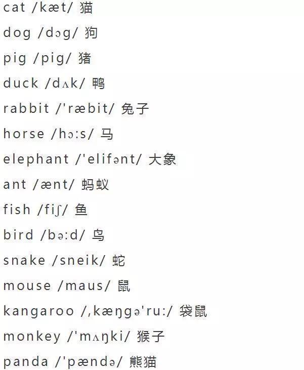 英语词汇积累表大全，5000个基本词汇