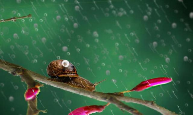 小雨点是怎么形成的，小雨点是怎么形成的简单回答（原来是这样子拍的）