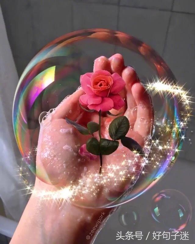 剪了短发经典句子，刚换新发型的幽默句子图片（看透爱情的说说短句子）