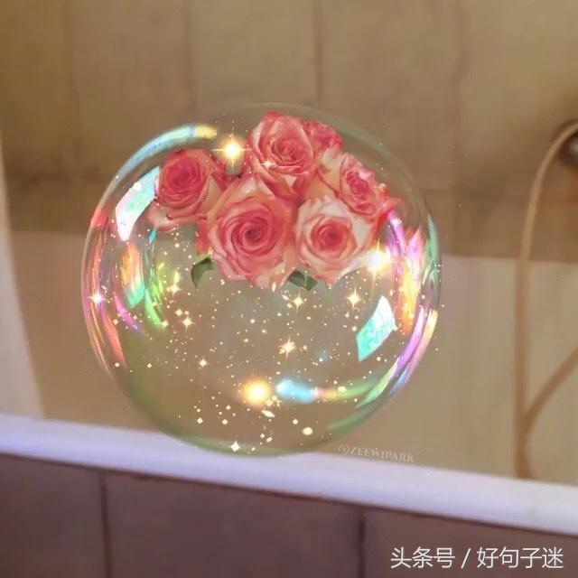 剪了短发经典句子，刚换新发型的幽默句子图片（看透爱情的说说短句子）