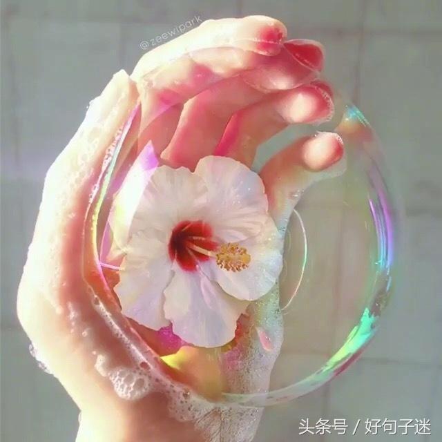 剪了短发经典句子，刚换新发型的幽默句子图片（看透爱情的说说短句子）