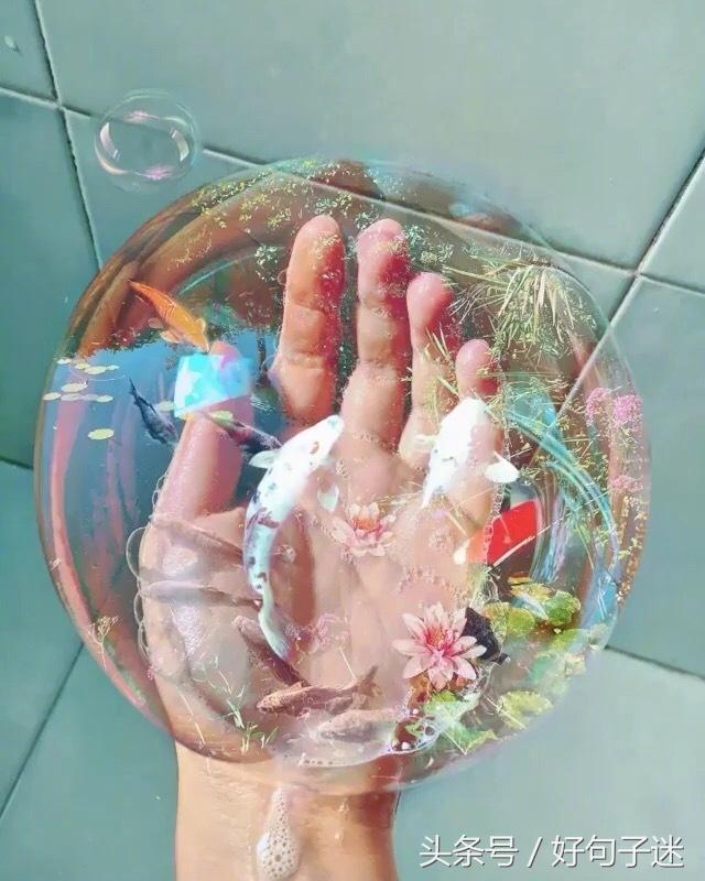 剪了短发经典句子，刚换新发型的幽默句子图片（看透爱情的说说短句子）