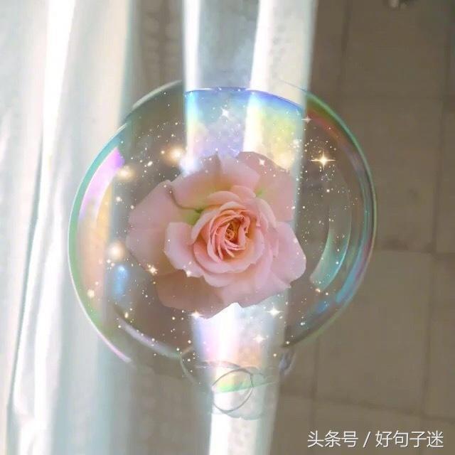 剪了短发经典句子，刚换新发型的幽默句子图片（看透爱情的说说短句子）