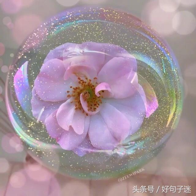 剪了短发经典句子，刚换新发型的幽默句子图片（看透爱情的说说短句子）