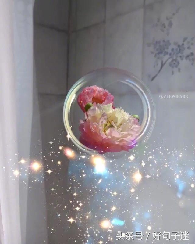 剪了短发经典句子，刚换新发型的幽默句子图片（看透爱情的说说短句子）