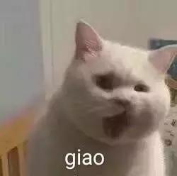 giao！快跑der！跑反了网名，giao！快跑der！跑反了微信昵称（在朋友圈刷爆的沙雕名字套路）