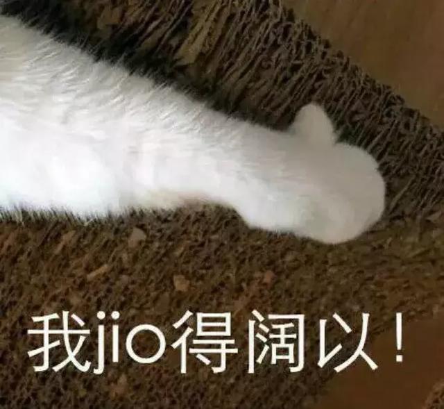 giao！快跑der！跑反了网名，giao！快跑der！跑反了微信昵称（在朋友圈刷爆的沙雕名字套路）