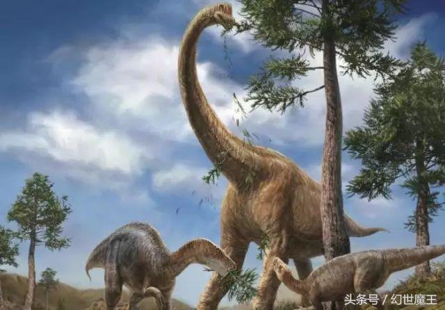 恐龙种类中脖子最长的腕龙，长颈巨龙的杰出代表