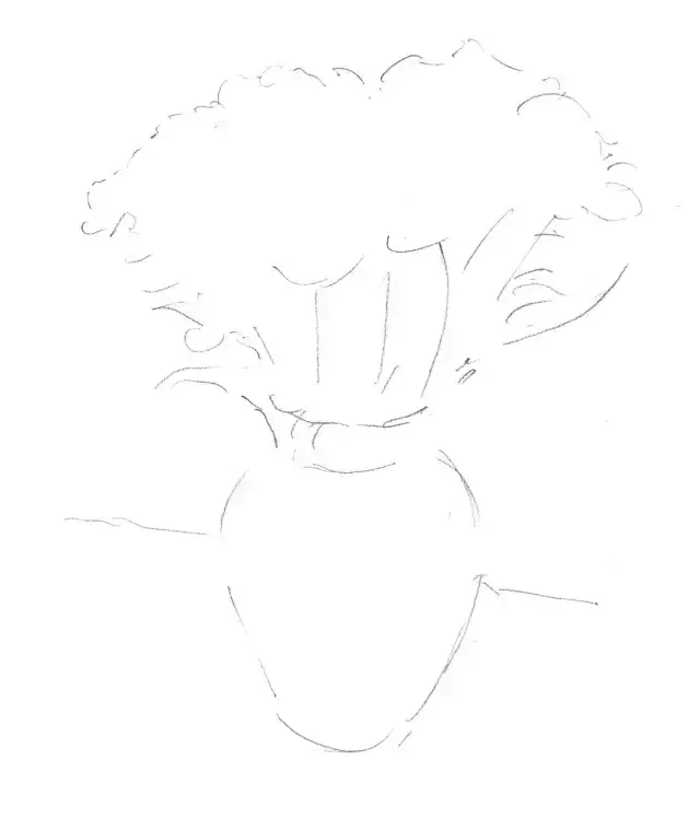 素描图片简单一点的花，兰花素描图片越简单越好（<素描花卉教程>）