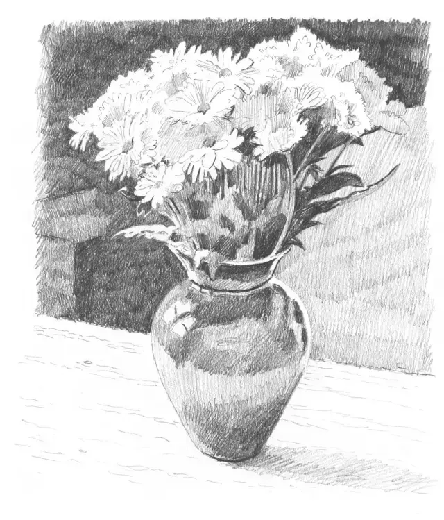 素描图片简单一点的花，兰花素描图片越简单越好（<素描花卉教程>）
