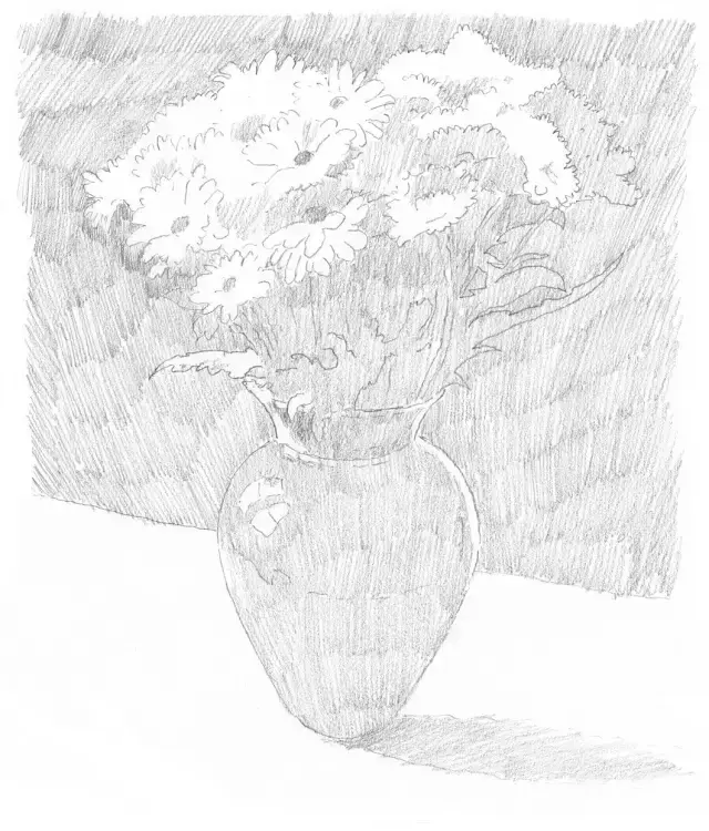 素描图片简单一点的花，兰花素描图片越简单越好（<素描花卉教程>）