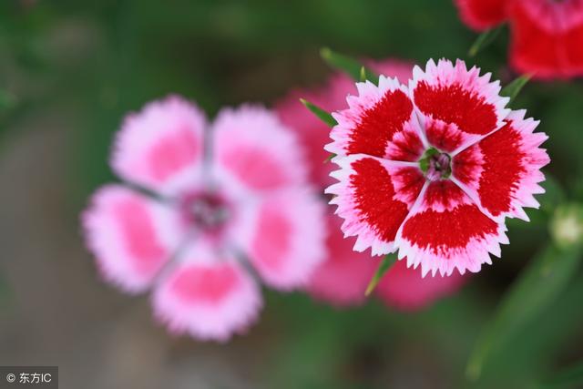 送给玩心眼的人的句子，送给玩心眼的人的句子古文（送给玩心眼的人）