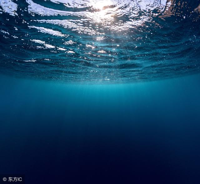 重生之半妖人鱼，重生之繁衍者（都市白领重生为人鱼）