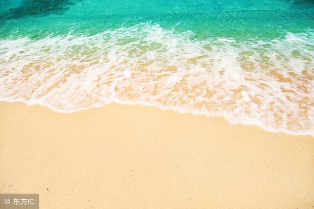 重生之半妖人鱼，重生之繁衍者（都市白领重生为人鱼）