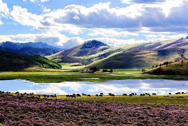 四川旅游线路推荐，四川旅游线路推荐一下（5条精品旅游线路让你领略凉山风情）