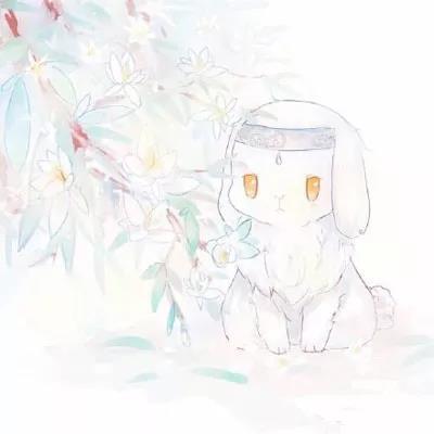 魔道祖师情侣头像，魔道祖师情头微信（不拿几张你敢说你喜欢魔道祖师吗）