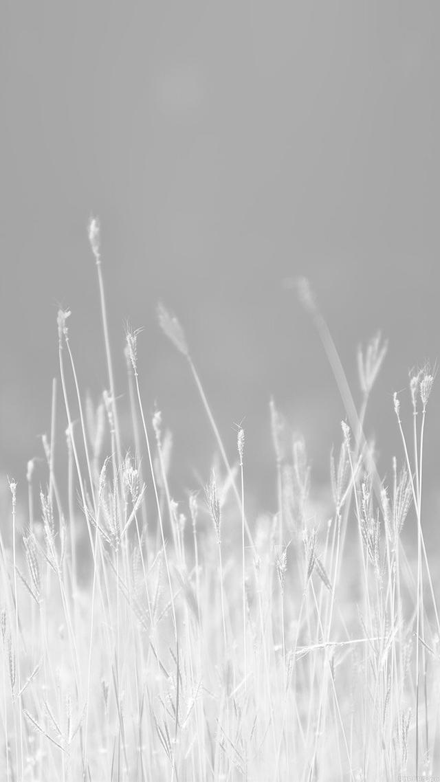 治愈纯白风格美图背景图，纯白唯美背景图（要的就是简单干净）