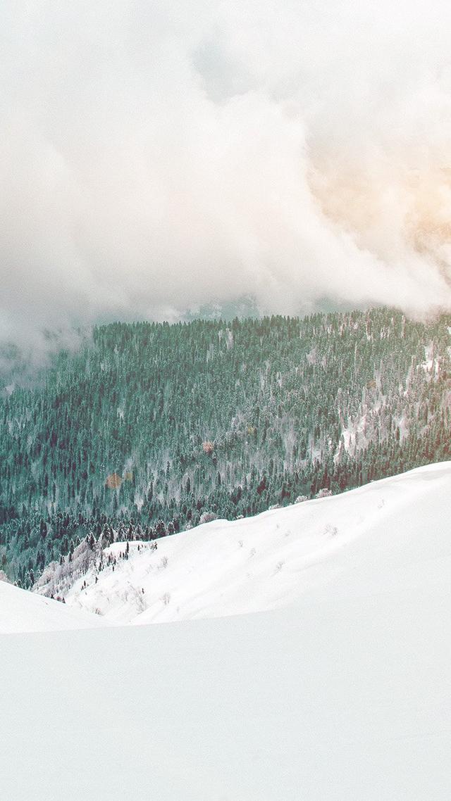 治愈纯白风格美图背景图，纯白唯美背景图（要的就是简单干净）