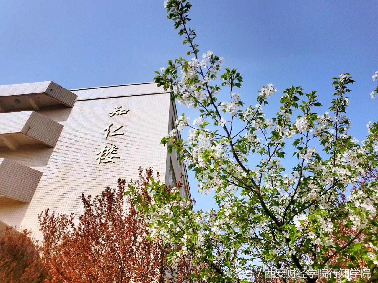 西安财经大学行知学院｜许璐：承师者志，西安财经大学行知学院师资力量（2018西安财经学院行知学院欢迎你的加入）