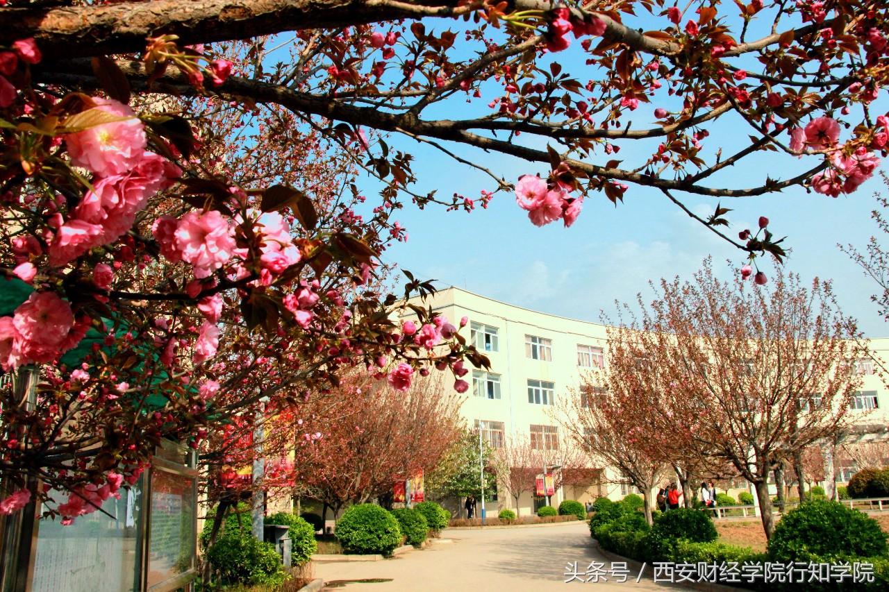 西安财经大学行知学院｜许璐：承师者志，西安财经大学行知学院师资力量（2018西安财经学院行知学院欢迎你的加入）