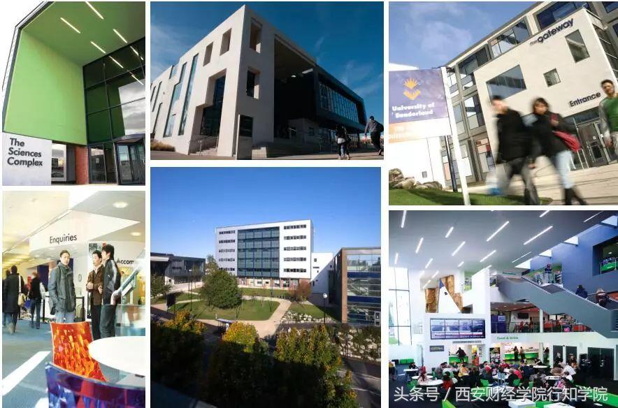 西安财经大学行知学院｜许璐：承师者志，西安财经大学行知学院师资力量（2018西安财经学院行知学院欢迎你的加入）