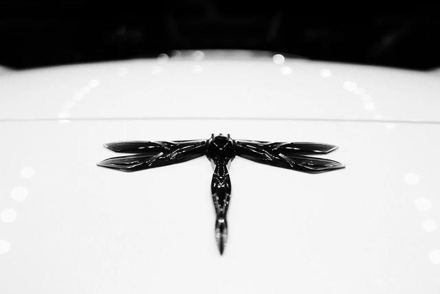 蜻蜓标志的跑车是什么车，蜻蜓标志的车叫什么名（国产电动超跑“小蜻蜓”）