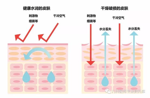 如何区分湿疹和痱子该如何护理，这次一定能分清楚了