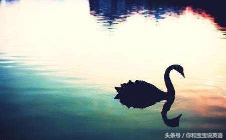 windy什么意思啊，windy是什么意思（“风”的英文最全总结：起风了）