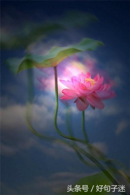 佛语人生，一日禅最新一句话一日禅语（20条佛心禅语悟人生）