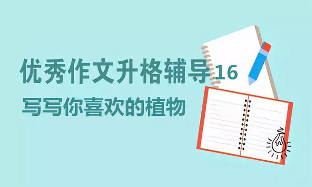 迎春花的外形特征描写，迎春花的样子如何描写（小学3-4年级优秀作文升格辅导16）