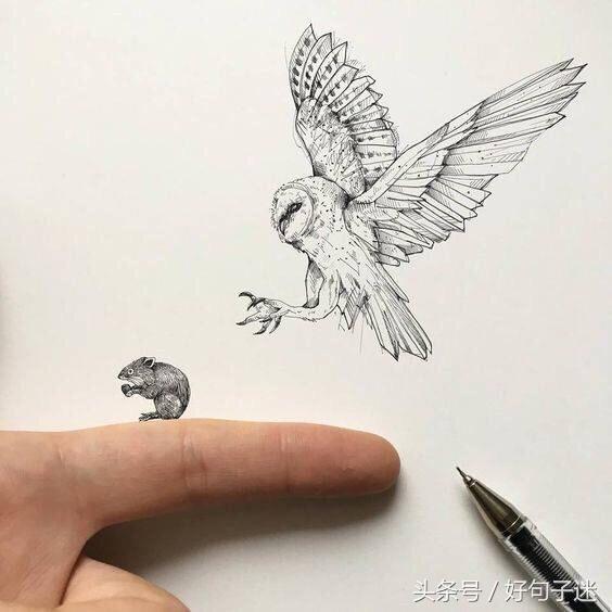 学习励志的句子，学习经典励志句子（鼓励自己努力学习的名言）