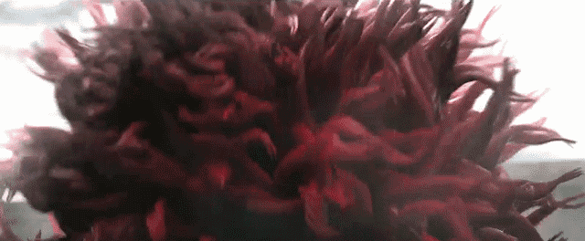 尉迟真金怎么死的，尉迟金真金死在哪一部（徐克烧钱的特效背后大有讲究）