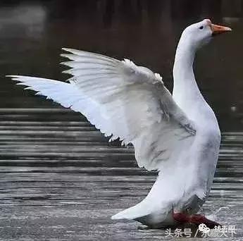 古币基本知识，古钱币的8个冷知识