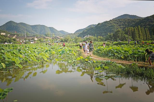 信陽郝堂村旅遊攻略,信陽郝堂村景點地圖(大別山裡鄉村遊:郝堂村)