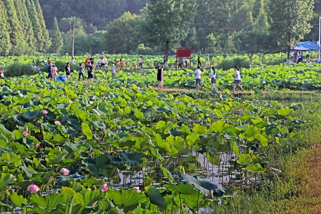 信阳郝堂村旅游攻略，信阳郝堂村景点地图（大别山里乡村游：郝堂村）
