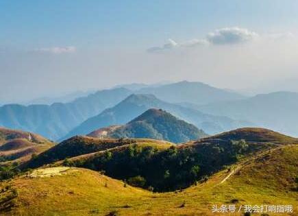 梦见生日蛋糕什么意思，梦见过生日好多蛋糕什么意思（周公解梦：梦见这4件事）