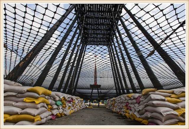 闽台民俗传统，六百年闽台“抢孤“民俗